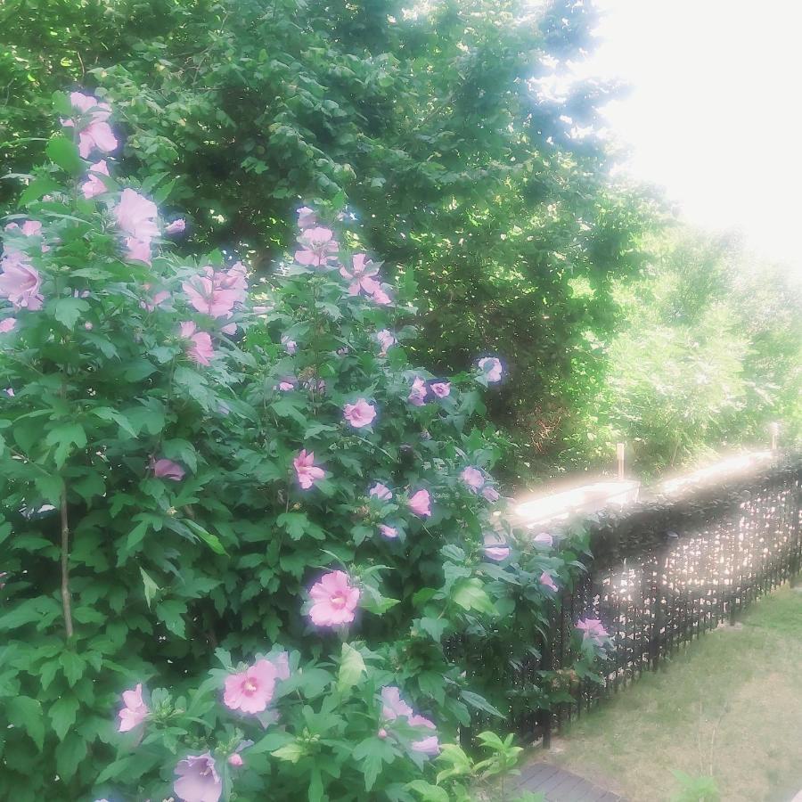 Saint Nicholas Varna Lovely 2 Bedroom Apartment With Sunny Garden 外观 照片